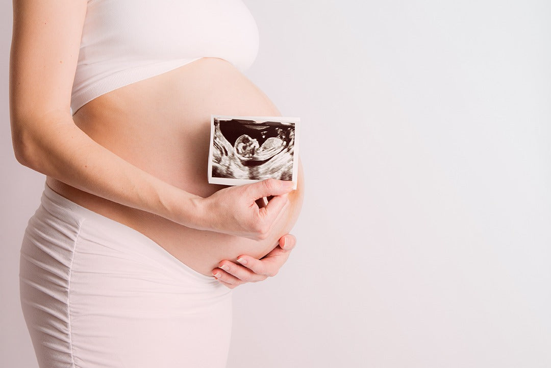 Comment se développe le cerveau du foetus ?