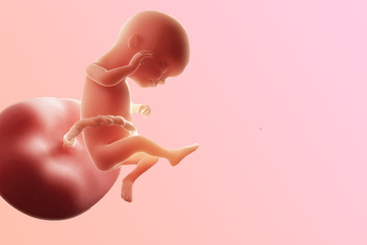 16 ème semaine d’aménorrhée : un foetus plus agile